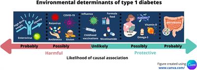 Environmental Determinants of Type 1 Diabetes: From Association to Proving Causality